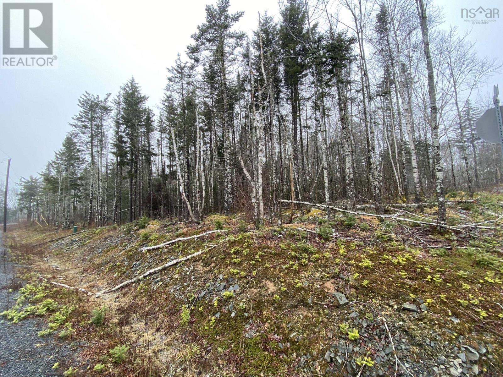 Discovery Crescent, Ardoise, Nova Scotia  B0N 3A0 - Photo 1 - 202401924
