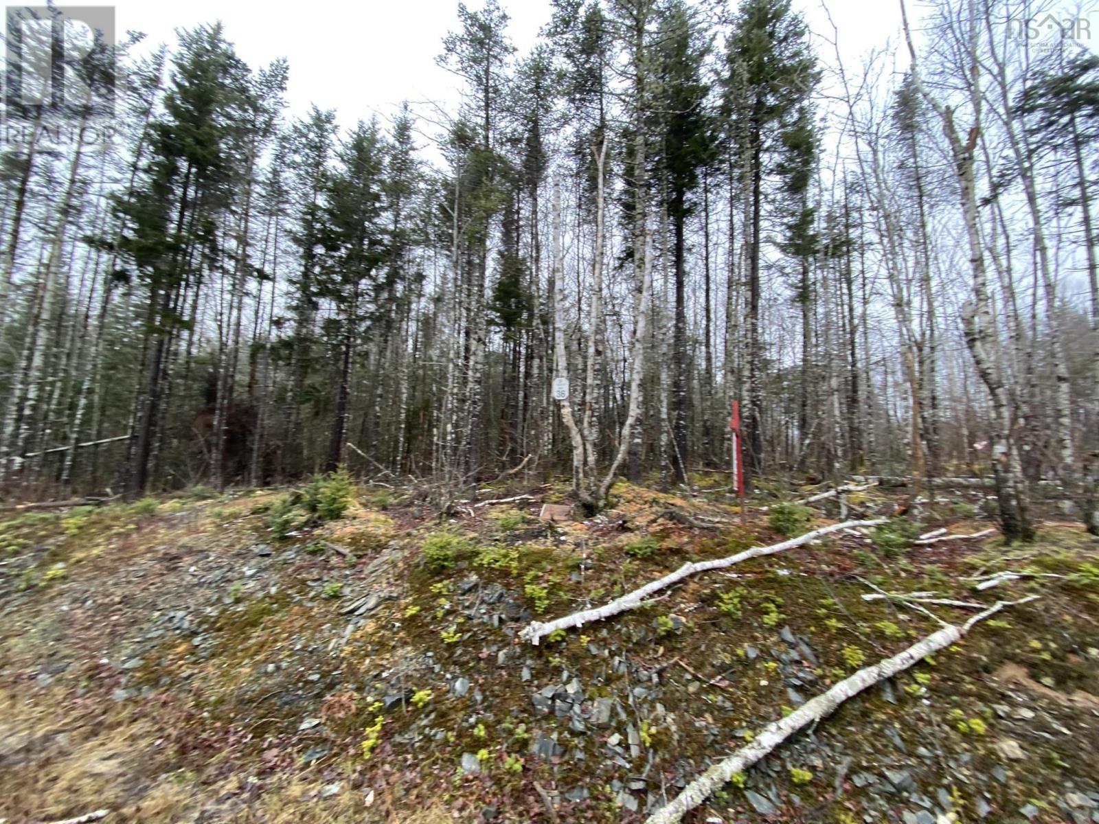 Discovery Crescent, Ardoise, Nova Scotia  B0N 3A0 - Photo 2 - 202401924