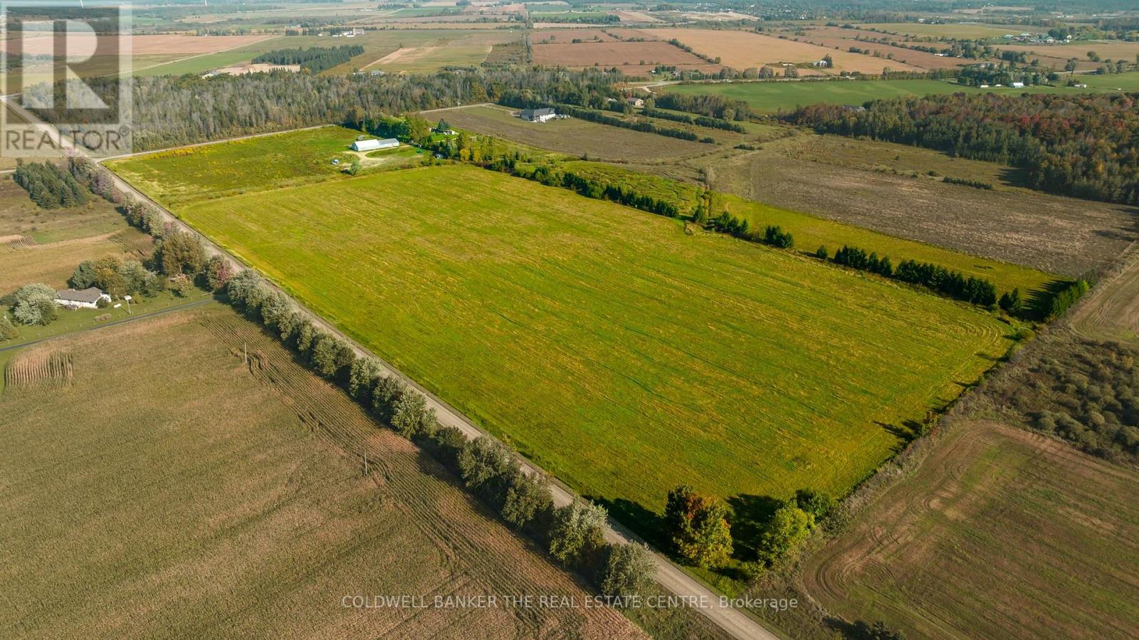 182162 20 Sideroad, East Garafraxa, Ontario  L9W 7L5 - Photo 8 - X7342282