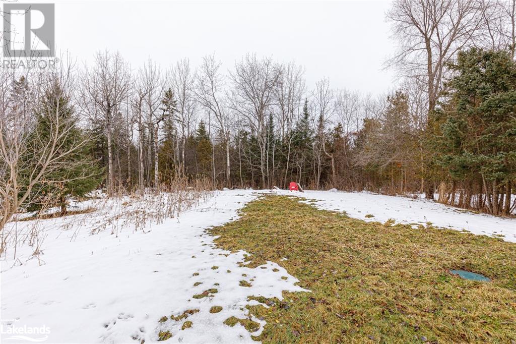 53 Broadview Street, Collingwood, Ontario  L9Y 0X2 - Photo 31 - 40535160