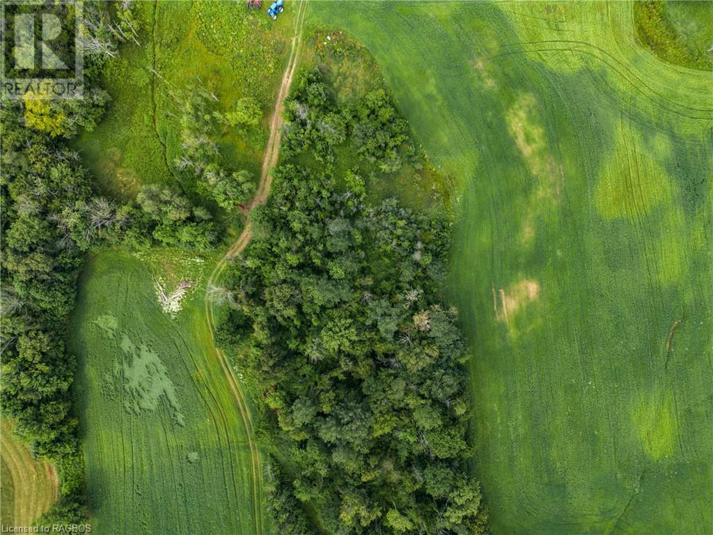 3237 Collingwood Street, Clearview, Ontario  L0M 1G0 - Photo 18 - 40534515