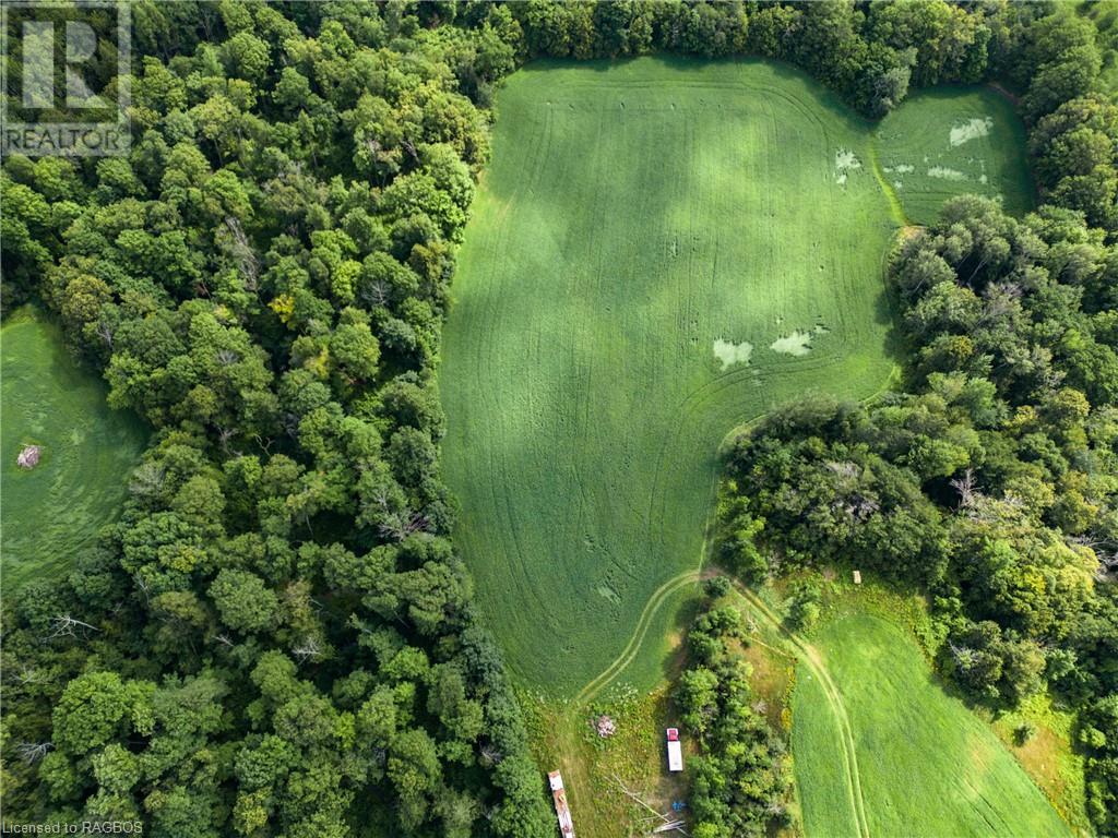 3237 Collingwood Street, Clearview, Ontario  L0M 1G0 - Photo 20 - 40534515