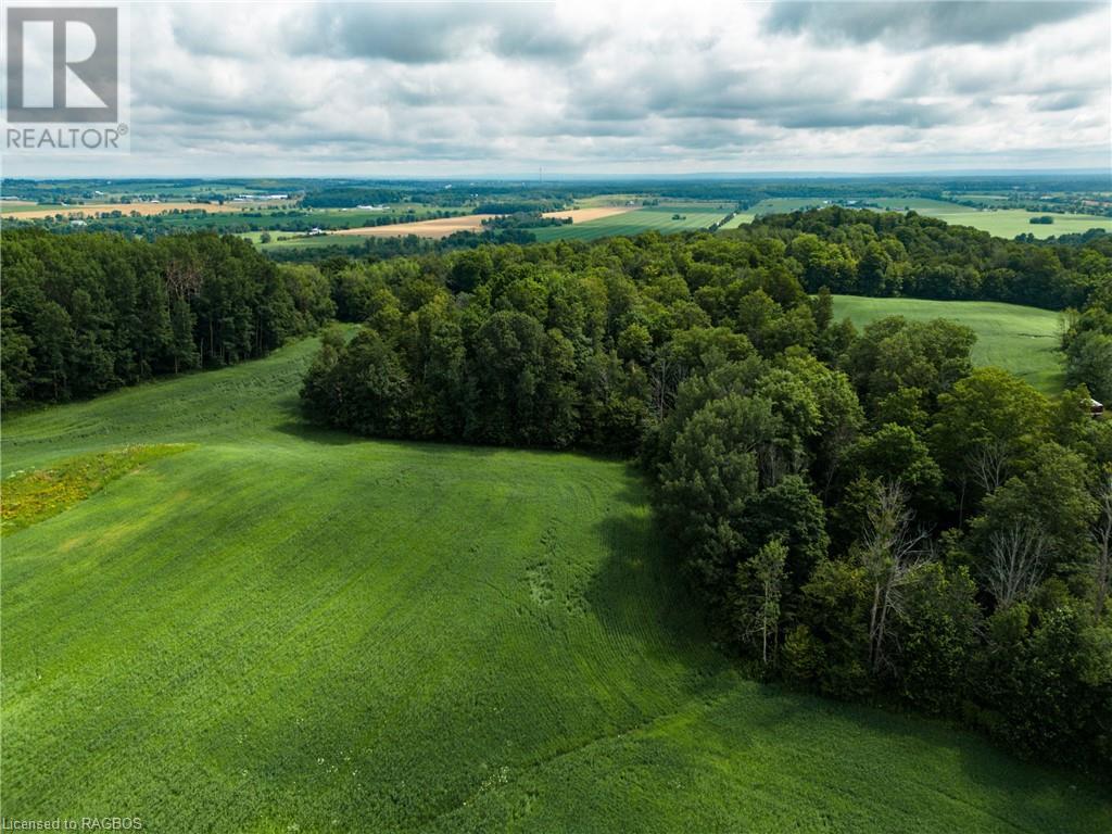 3237 Collingwood Street, Clearview, Ontario  L0M 1G0 - Photo 24 - 40534515