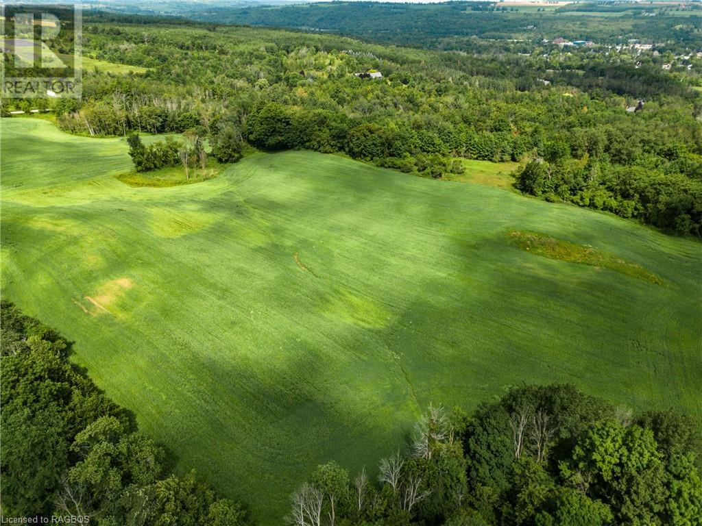 3237 Collingwood Street, Clearview, Ontario  L0M 1G0 - Photo 26 - 40534515