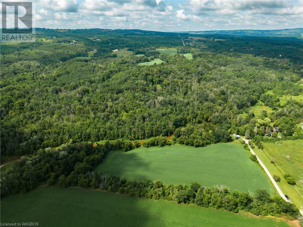 3237 Collingwood Street, Clearview, Ontario  L0M 1G0 - Photo 30 - 40534515