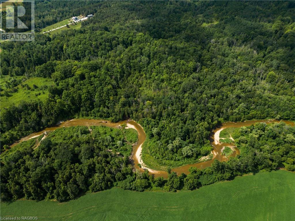 3237 Collingwood Street, Clearview, Ontario  L0M 1G0 - Photo 32 - 40534515