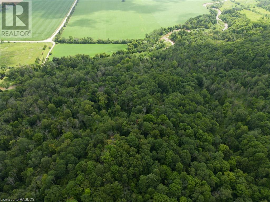 3237 Collingwood Street, Clearview, Ontario  L0M 1G0 - Photo 38 - 40534515