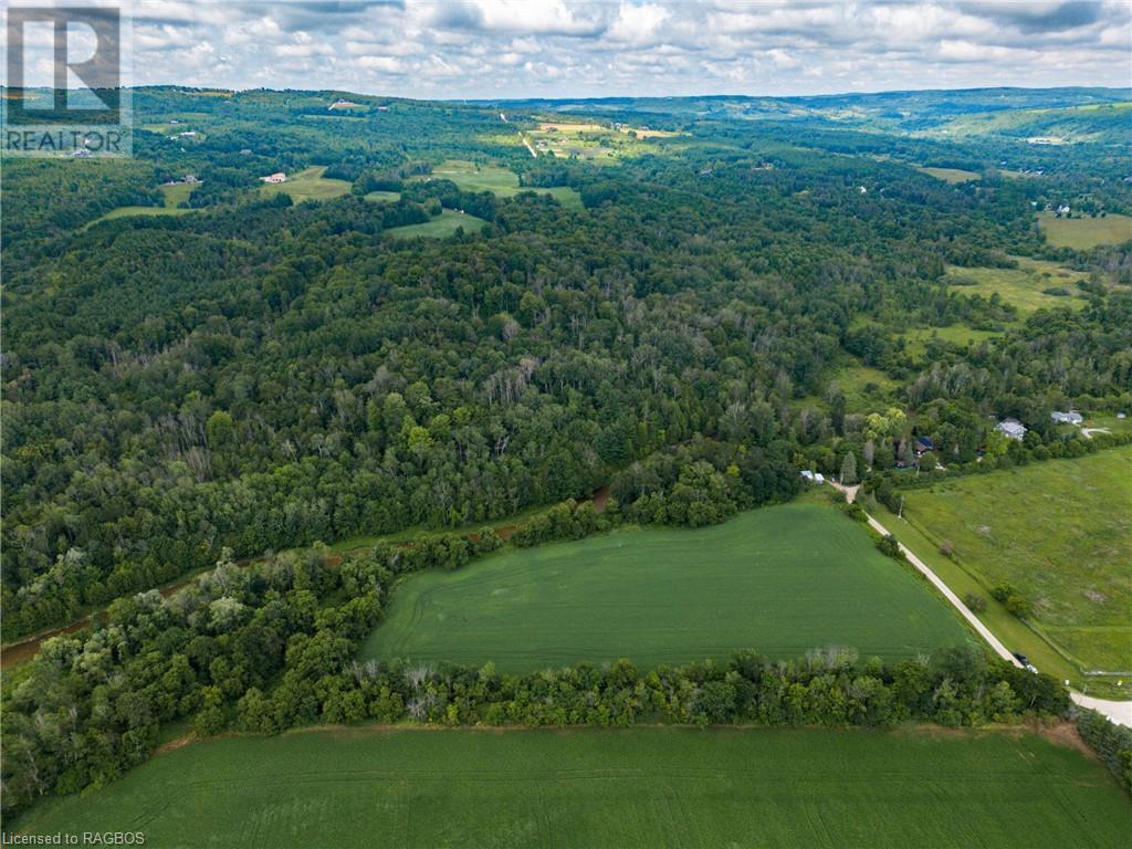 3237 Collingwood Street, Clearview, Ontario  L0M 1G0 - Photo 39 - 40534515