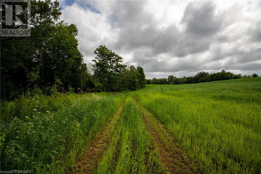 3237 Collingwood Street, Clearview, Ontario  L0M 1G0 - Photo 42 - 40534515