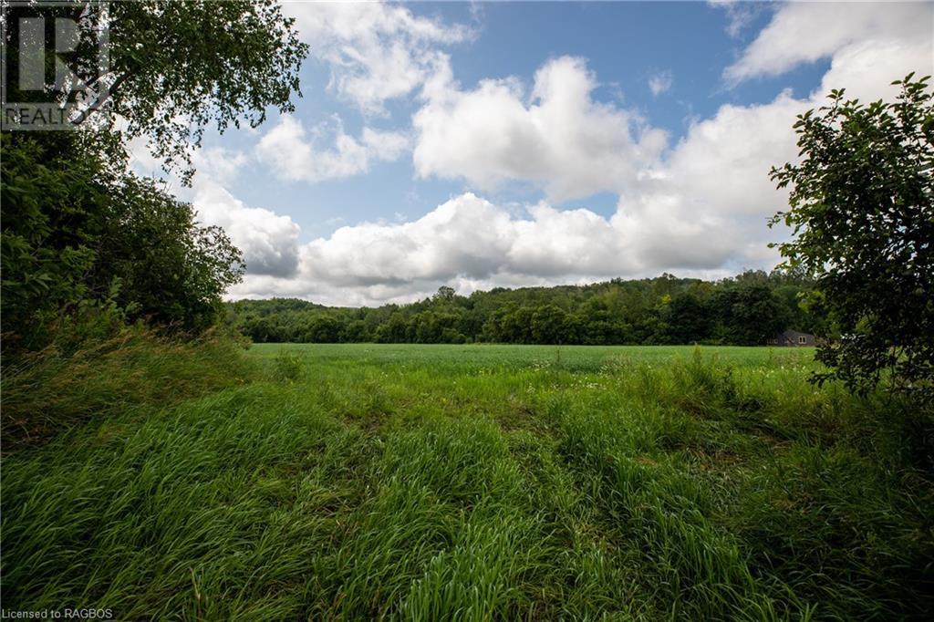 3237 Collingwood Street, Clearview, Ontario  L0M 1G0 - Photo 49 - 40534515