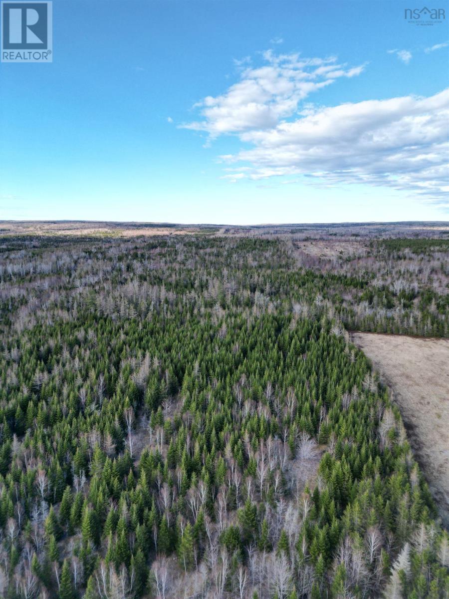 Lot 326 Sherbrooke Road, East River, Nova Scotia  B2H 5C8 - Photo 8 - 202401956