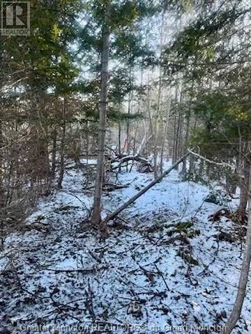 Lot Route 16, Melrose, New Brunswick  E4M 3B2 - Photo 12 - M157122