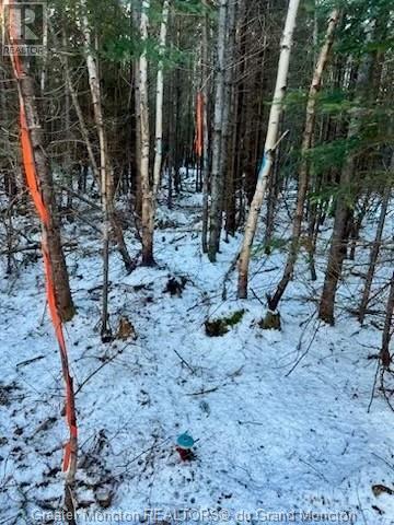 Lot Route 16, Melrose, New Brunswick  E4M 3B2 - Photo 18 - M157122