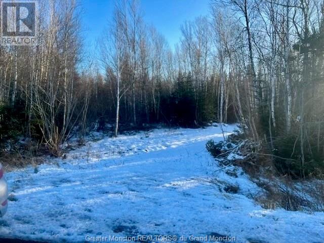 Lot Route 16, Melrose, New Brunswick  E4M 3B2 - Photo 2 - M157122