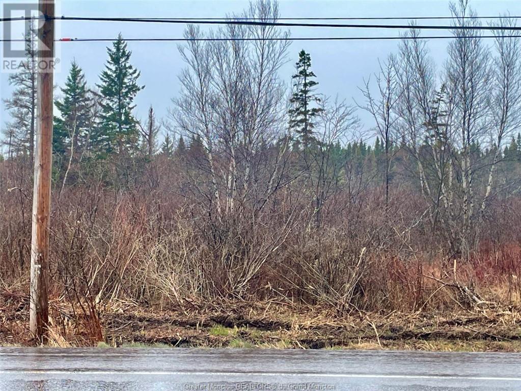 Lot Route 16, Melrose, New Brunswick  E4M 3B2 - Photo 5 - M157122