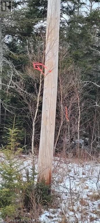 Lot Route 16, Melrose, New Brunswick  E4M 3B2 - Photo 9 - M157122