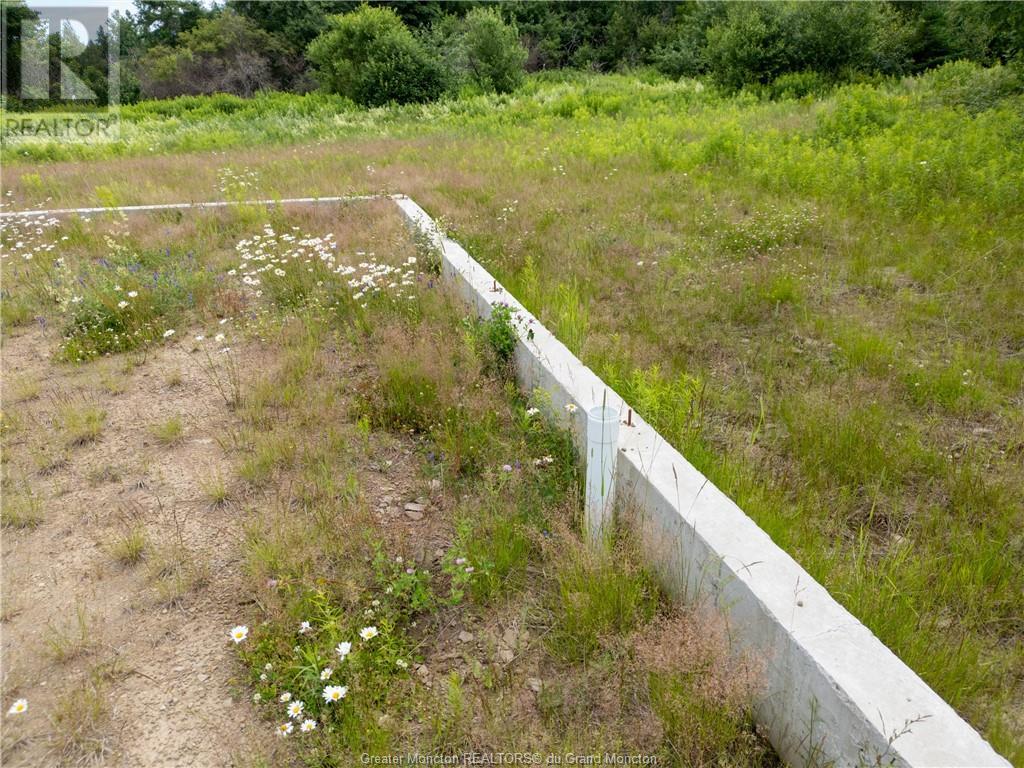2639 Route 465, Beersville, New Brunswick  E4T 2P6 - Photo 3 - M157154