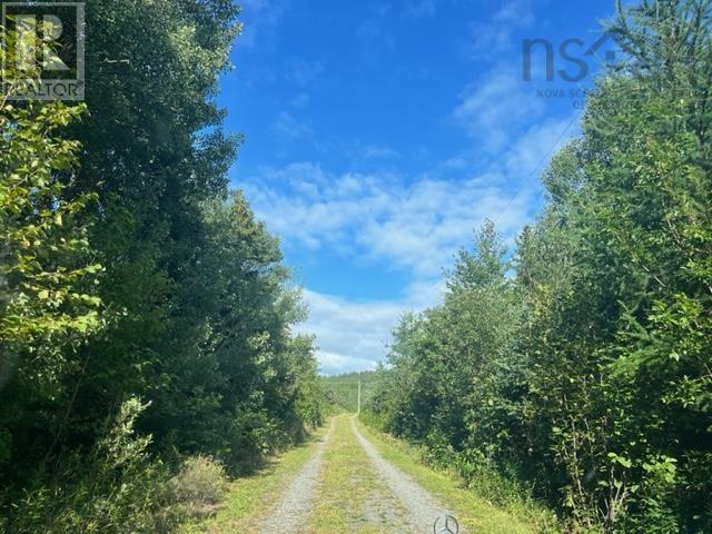 3529 Highway 19, Long Point, Nova Scotia  B9A 1A3 - Photo 12 - 202402031