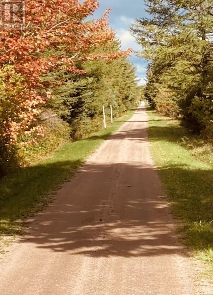 3529 Highway 19, Long Point, Nova Scotia  B9A 1A3 - Photo 6 - 202402031