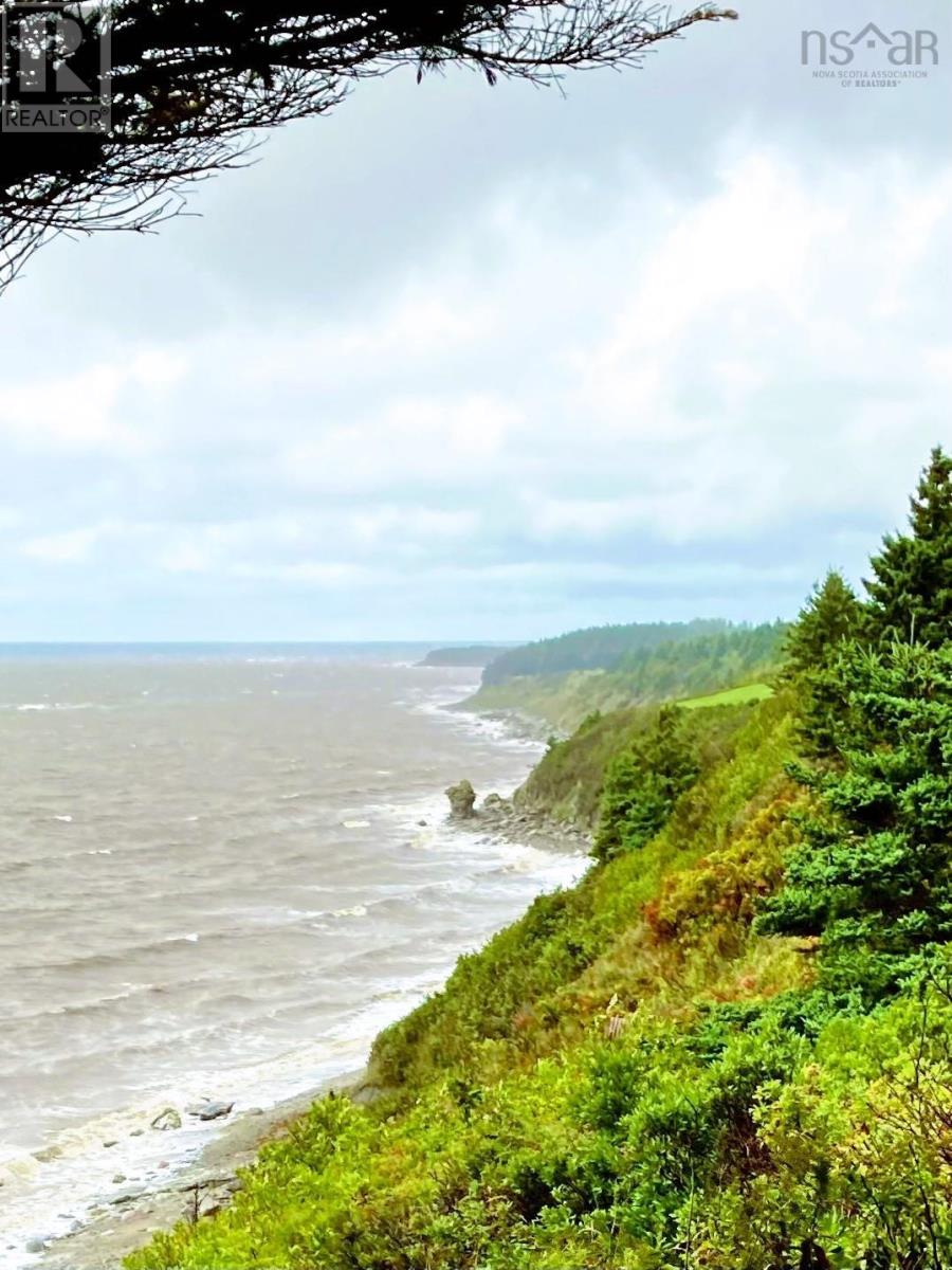 3529 Highway 19, Long Point, Nova Scotia  B9A 1A3 - Photo 7 - 202402031