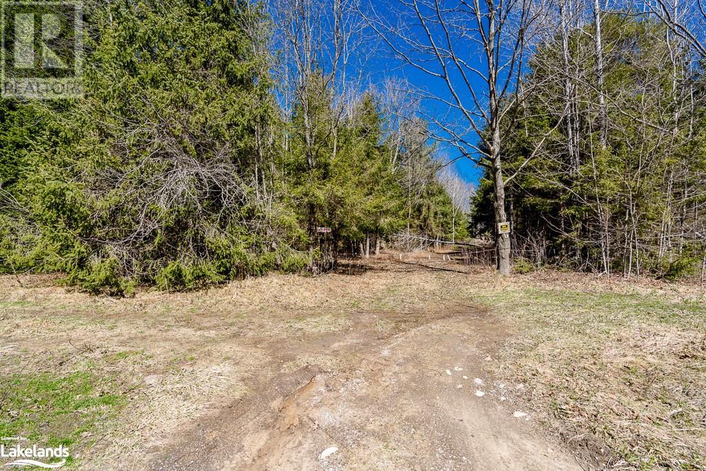 Lot 10 17 Concession Road E, Tiny Twp, Ontario  L9M 0M4 - Photo 7 - 40535924