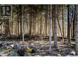 LOT 10 17 CONCESSION Road E, tiny twp, Ontario