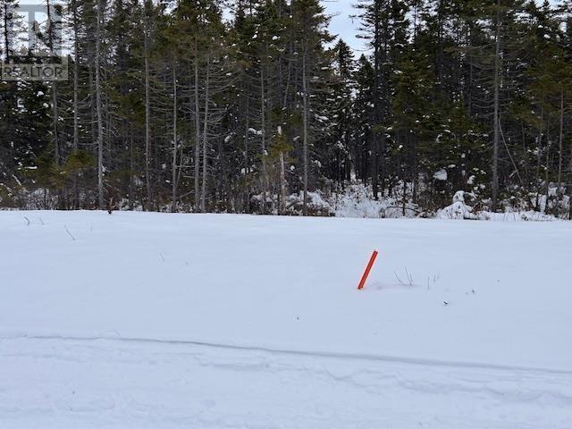 Lot A Ravenwood Drive, Nine Mile River, Nova Scotia  B2S 2Y1 - Photo 2 - 202402039