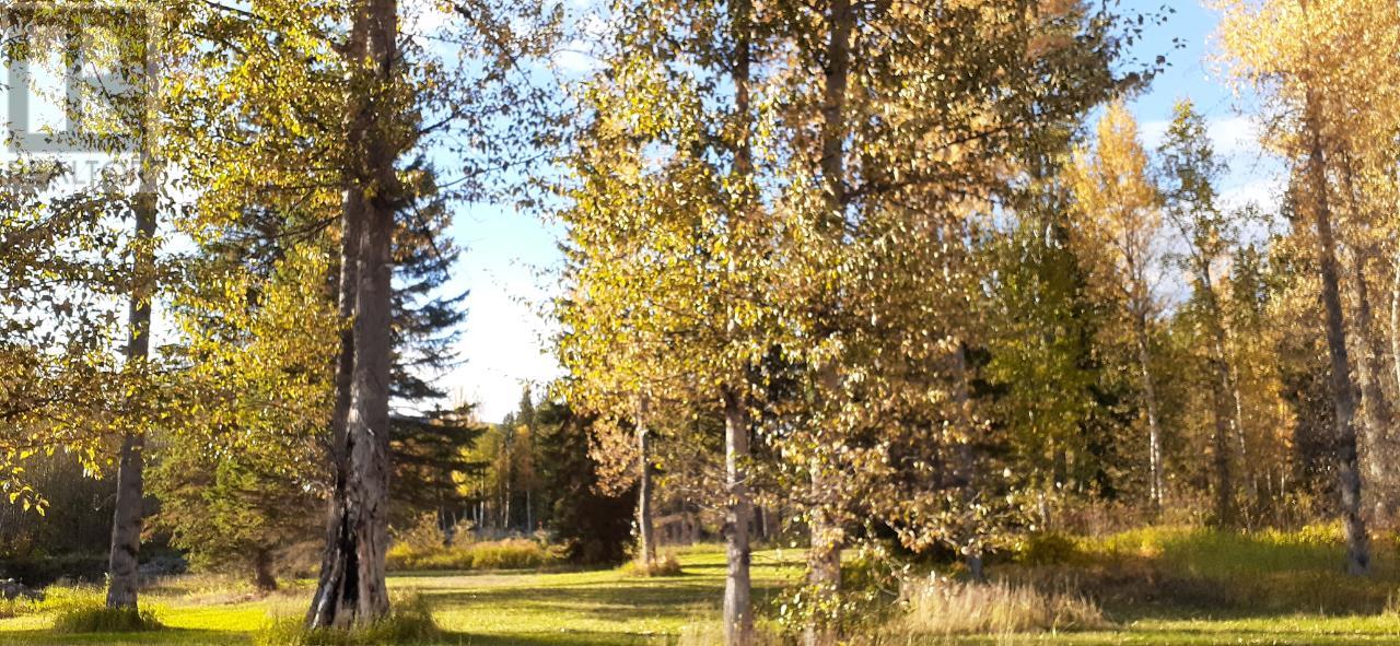 5177 Clearwater Valley Road, Wells Gray, British Columbia  V0E 1N1 - Photo 19 - 176528