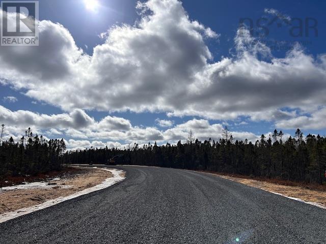 Lot 42 Ravenwood Drive, Nine Mile River, Nova Scotia  B2S 2Y1 - Photo 1 - 202402037