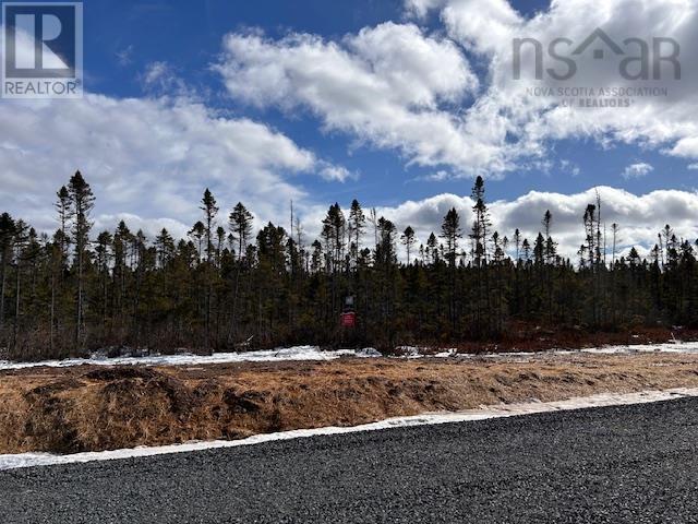 Lot 42 Ravenwood Drive, Nine Mile River, Nova Scotia  B2S 2Y1 - Photo 2 - 202402037