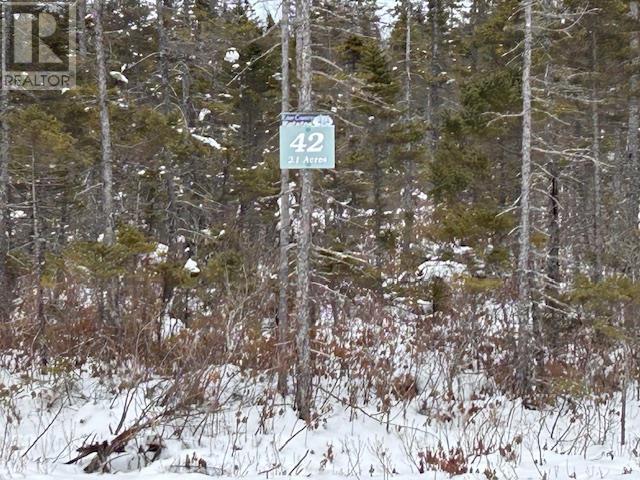 Lot 42 Ravenwood Drive, Nine Mile River, Nova Scotia  B2S 2Y1 - Photo 4 - 202402037