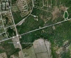 0 Black River Rd, Georgina, Ontario  L0E 1R0 - Photo 2 - N8038626