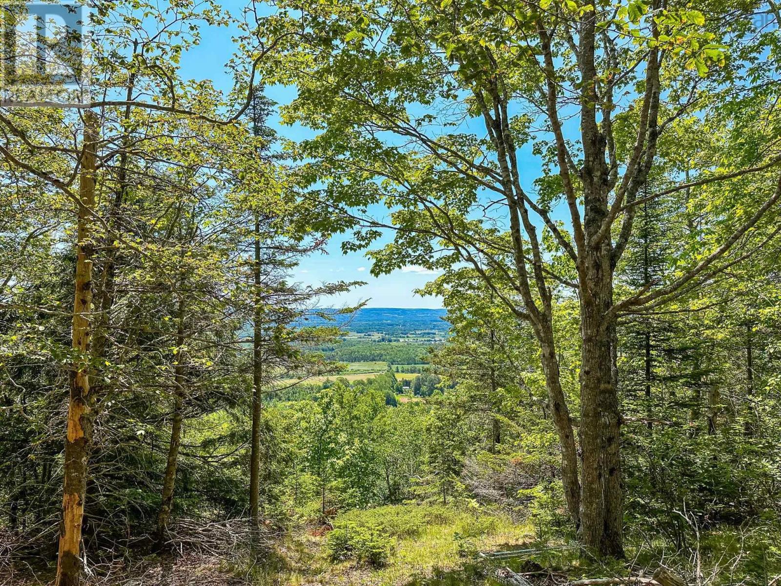 Lot 1 Brow Of Mountain Road, Garland, Nova Scotia  B0P 1E0 - Photo 2 - 202316423