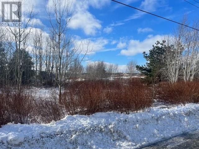 3 Russells Lane, Bay Roberts, A0A1G0, ,Vacant land,For sale,Russells,1267393