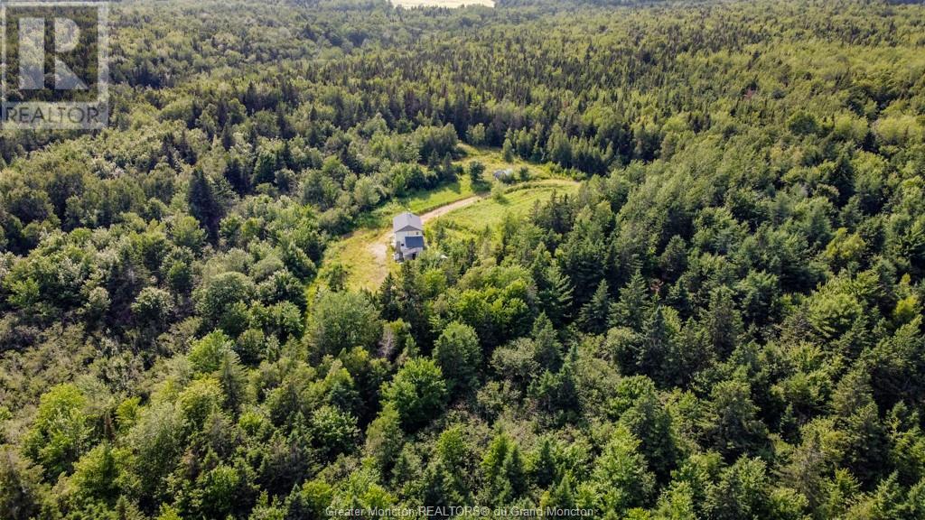 156 Bois Joli Rd, Bouctouche, New Brunswick  E4S 2X1 - Photo 8 - M157182