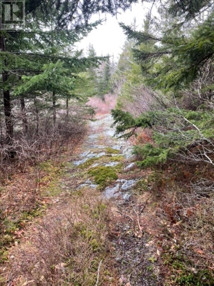 Lot Feltzen South Road, Feltzen South, Nova Scotia  B0J 2X0 - Photo 12 - 202216755