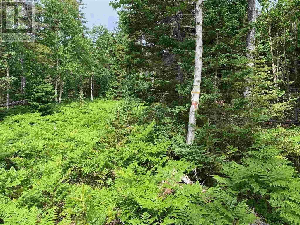 02-3 Cabot Trail, Birch Plain, Nova Scotia  B0C 1H0 - Photo 10 - 202402117