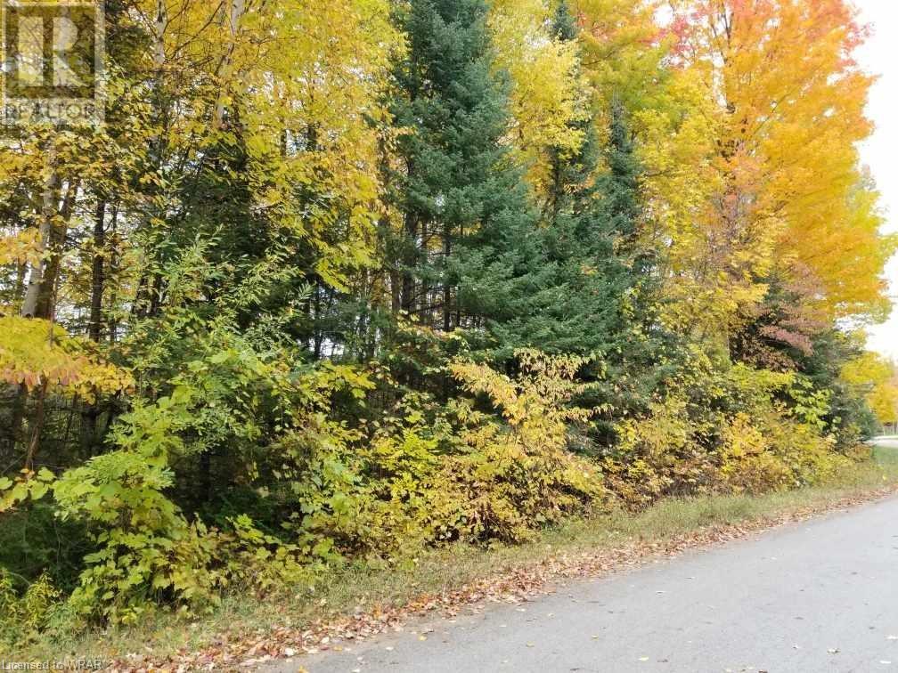 20 Pine Forest Drive, Hepworth, Ontario  N0H 1P0 - Photo 1 - 40536561