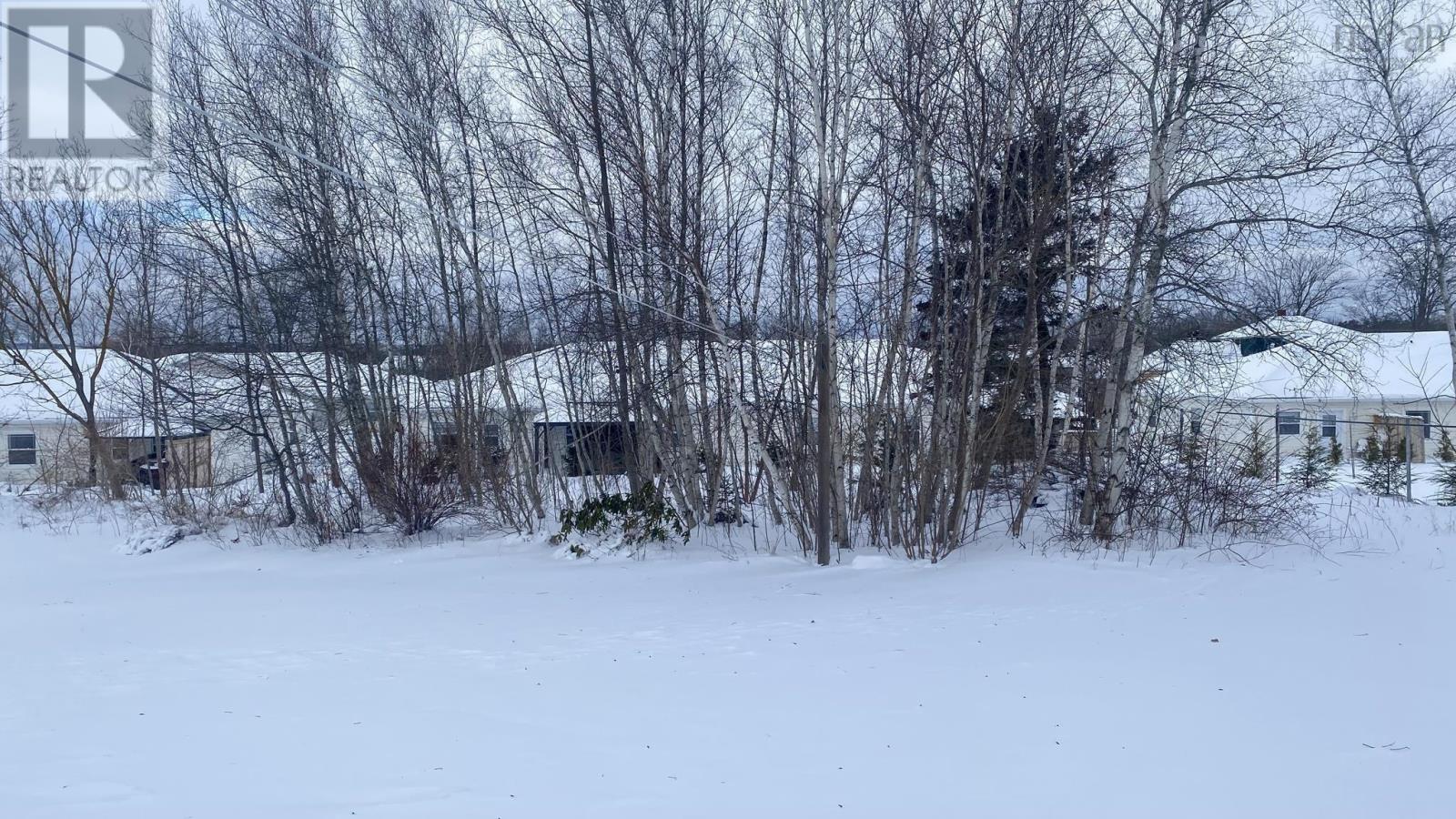 106 Orchard Street, Berwick, Nova Scotia  B0P 1E0 - Photo 50 - 202402127