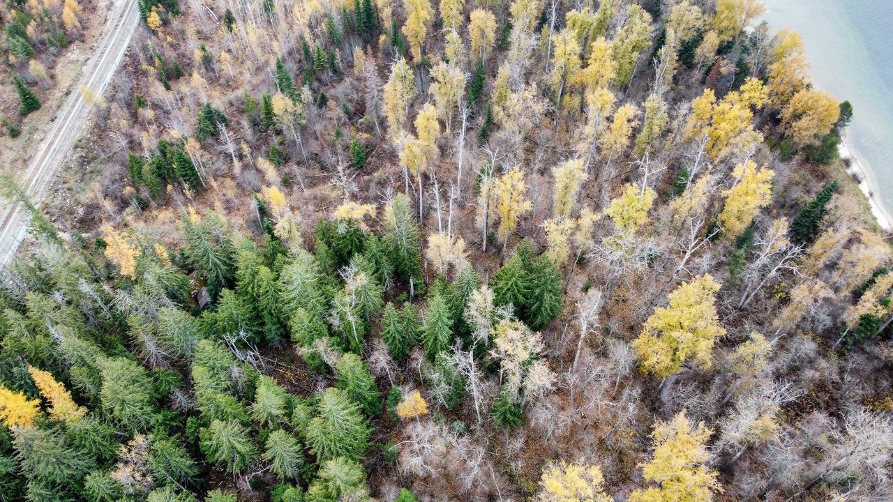 Lot 5 Atbara Bay, Nelson, British Columbia  V1L 6M8 - Photo 12 - 2474796