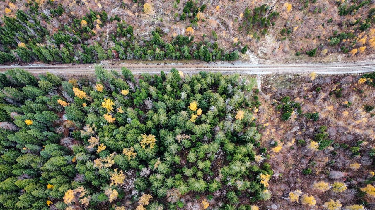 Lot 5 Atbara Bay, Nelson, British Columbia  V1L 6M8 - Photo 16 - 2474796