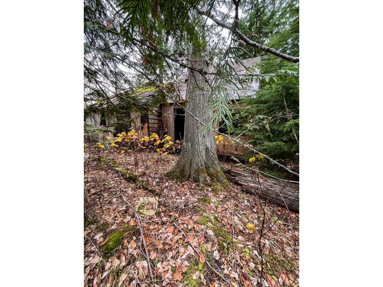 Lot 5 Atbara Bay, Nelson, British Columbia  V1L 6M8 - Photo 23 - 2474796