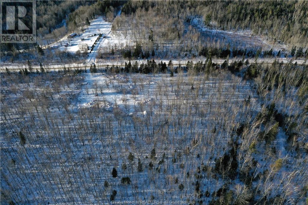 Lot Route 440, Rosaireville, New Brunswick  E4Y 2M2 - Photo 8 - M157204