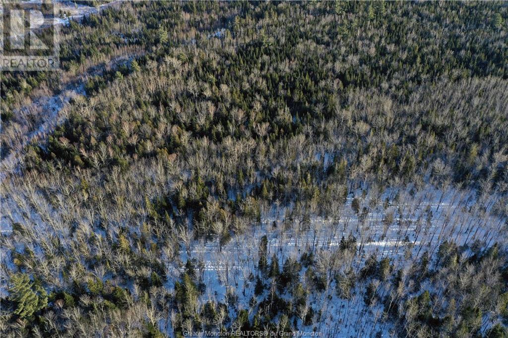 Lot Route 440, Rosaireville, New Brunswick  E4Y 2M2 - Photo 7 - M157204