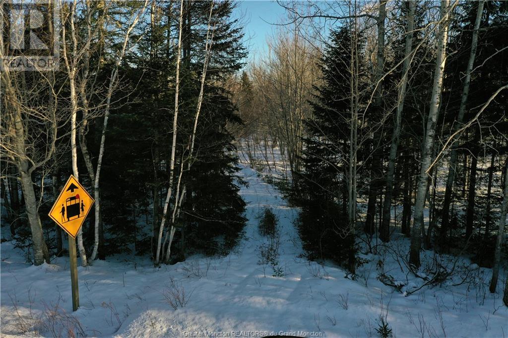 Lot Route 440, Rosaireville, New Brunswick  E4Y 2M2 - Photo 3 - M157204