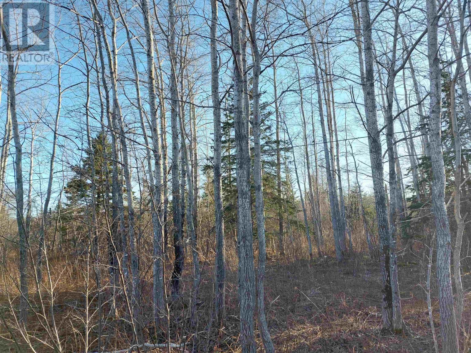 Lot1 Hwy 4, Cleveland, Nova Scotia  B0E 1J0 - Photo 12 - 202402177