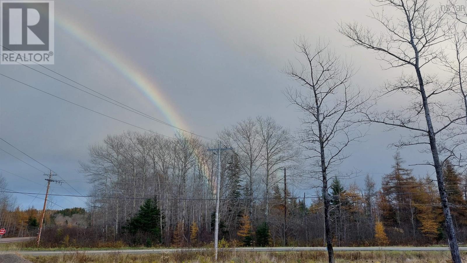 Lot1 Hwy 4, Cleveland, Nova Scotia  B0E 1J0 - Photo 8 - 202402177