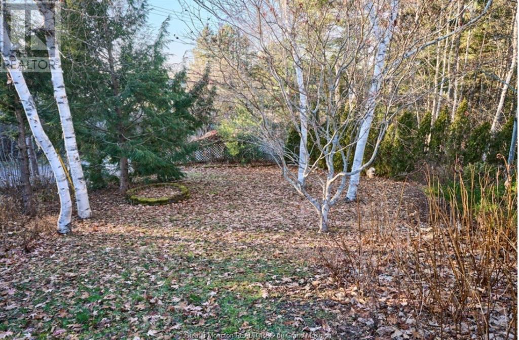 46 Webster St, Shediac, New Brunswick  E4P 2X3 - Photo 44 - M157208