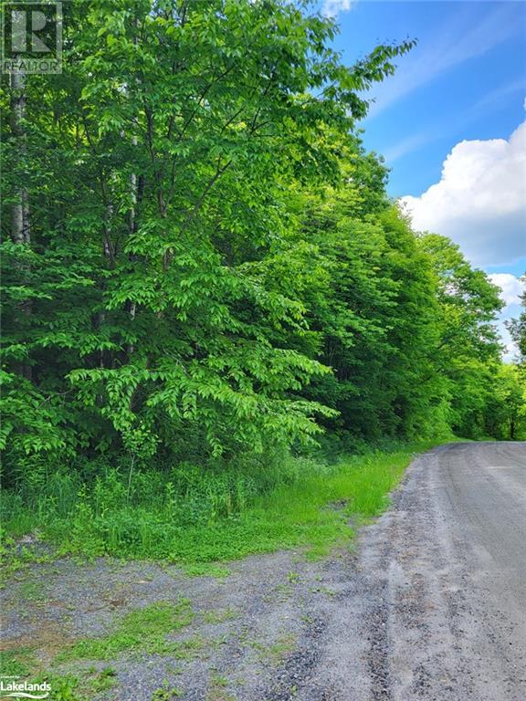 0 Haines Lake Road, Mcdougall, Ontario  P2A 0B3 - Photo 1 - 40536384