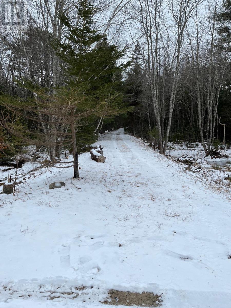 214 Hartz Point Road, Birchtown, Nova Scotia  B0T 1W0 - Photo 6 - 202402198